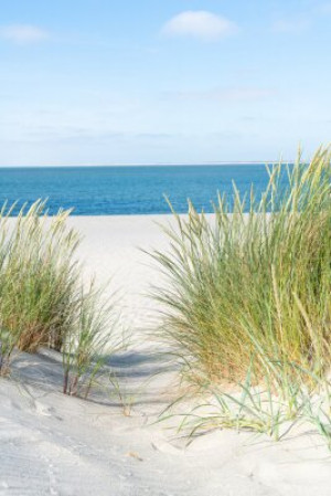 Fototapeta morze Północne, Sylt, atlantycki, tło, plaża