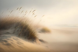 Fototapeta piasek, wydma, plaża, trawa, wschód słońca