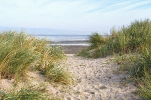 Fototapeta plaża, wydma, morze Północne, Niemiecki, Fryzja