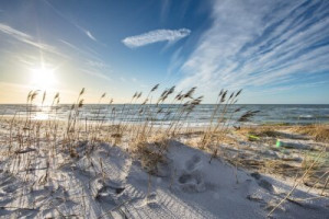 Fototapeta wydma, trzcina, Morze Bałtyckie, wybrzeże, plaża