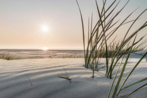 Fototapeta Morze Bałtyckie, morze Północne, plaża, wydma, zachód słońc