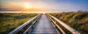 Fototapeta plaża, wydma, morze Północne, Morze Bałtyckie, tło