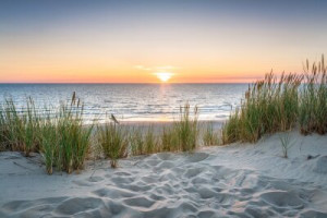 Fototapeta Plaża plaża, wydma, zachód słońca, tło, Niemiecki