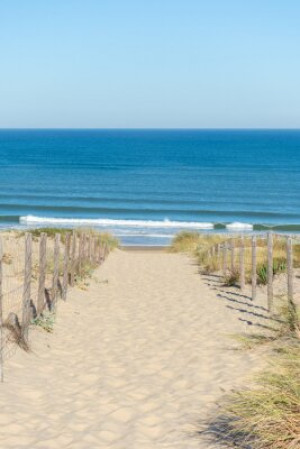 Fototapeta Arcachon, dorzecze, jagoda, Gironde, Aquitaine