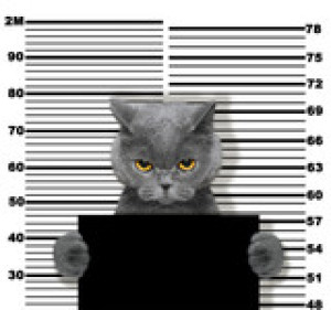 Fototapeta