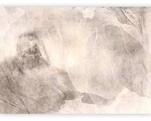 Fototapeta Nocna abstrakcja 350x256 cm Wyprzedaż