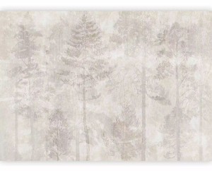 Fototapeta Senny las 350x256 cm Wyprzedaż