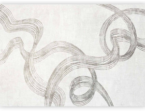 Fototapeta Abstrakcja - wstęgi szarości 400x280 cm Wyprzedaż