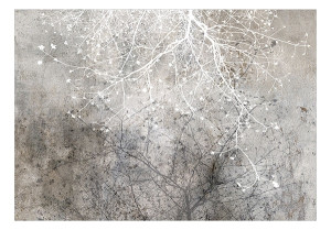 Fototapeta Jasne rozgałęzienie 450x315 cm Wyprzedaż