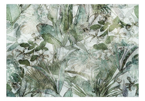 Fototapeta Lekka rosa 450x315 cm Wyprzedaż