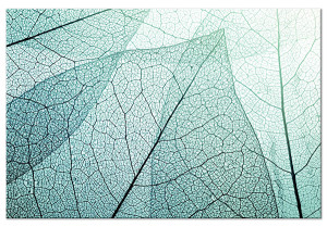 Obraz Makro flora jednoczęściowy 90x60 cm szeroki Wyprzedaż