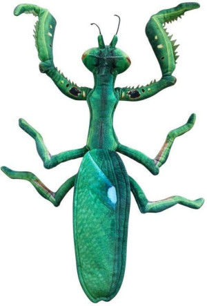 Modliszka