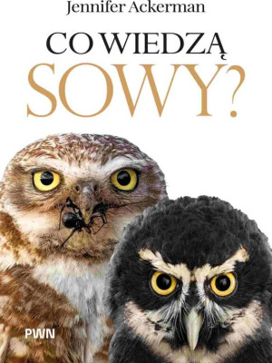 Co wiedzą sowy?