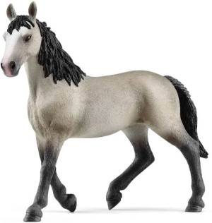Klacz rasy cheval de selle francais