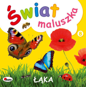 Łąka. Świat maluszka