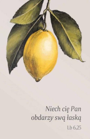 Magnes na lodówkę. Niech cię Pan obdarzy swą łaską