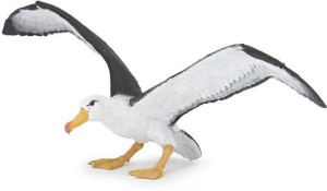 Albatros