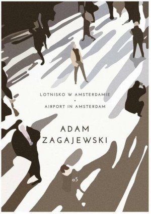 Lotnisko w Amsterdamie / Airport in Amsterdam