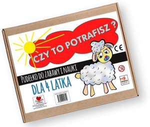 Czy to potrafisz? Pudełko do zabawy i nauki dla 4 latka