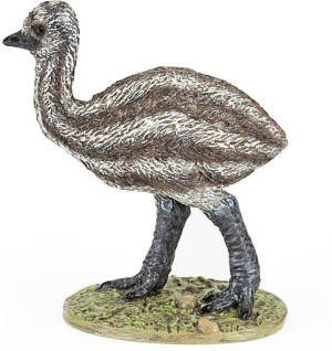 Emu młody