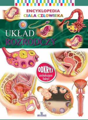 Encyklopedia ciała człowieka. Układ rozrodczy