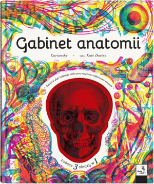 Gabinet anatomii