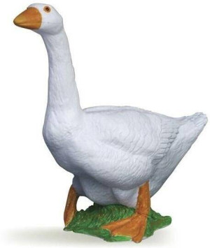 Gęś