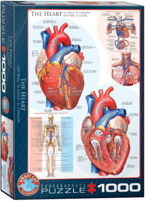 Puzzle 1000. The Heart 6000-0257