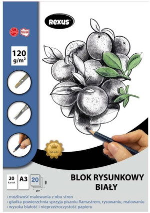 Blok rysunkowy A3/20K biały