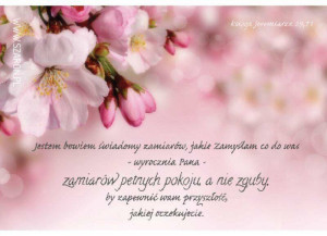 Magnes. Jestem bowiem świadomy