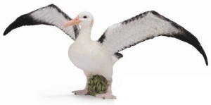 Albatros wędrowny L