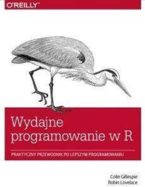 Wydajne programowanie w R