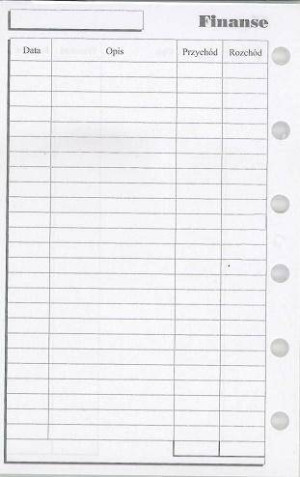 Antra. Wkład do organizera. Finanse