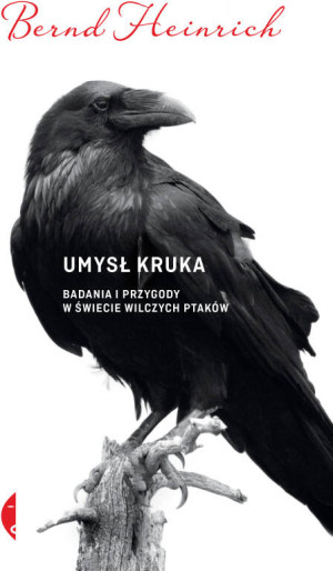 Umysł kruka. Badania i przygody w świecie wilczych ptaków