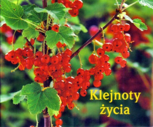 Klejnoty życia. Perełka nr 143