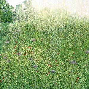 Karnet z kopertą. Trawy Harlow Carr