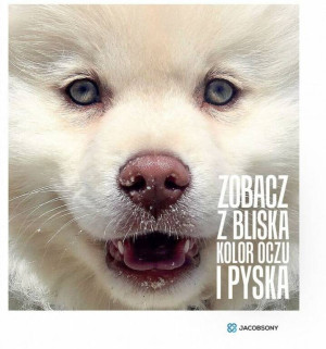 ZOBACZ Z BLISKA KOLOR OCZU I PYSKA