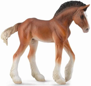 Źrebię Clydesdale Bay M