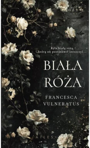 Biała róża