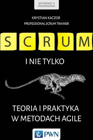 Scrum i nie tylko. Teoria i praktyka w metodach Agile