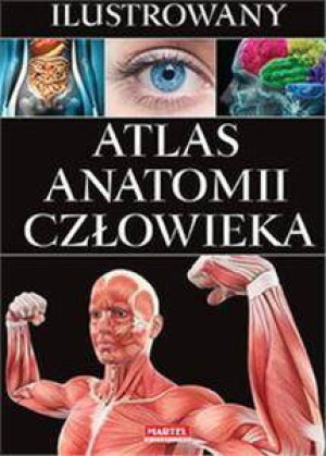 Atlas anatomii człowieka