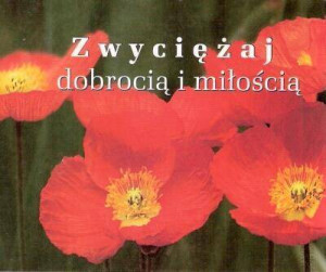 Zwyciężaj dobrocią i miłością. Perełka 193