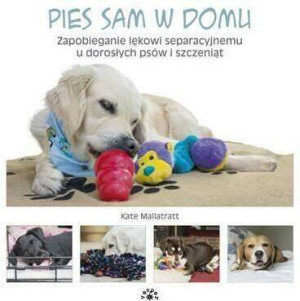 Pies sam w domu. Zapobieganie lękowi separacyjnemu