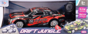 AUTO WYSCIG R/C FF LAD DRIFT 39X16X17 MC WB12/24