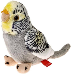 Papuga falista szara 13cm