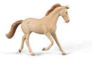 Klacz Thoroughbred maści Perlino