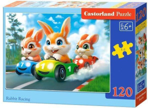 Puzzle 60 Rabbit Racing CASTOR