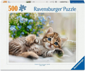 Puzzle 500 Kitten