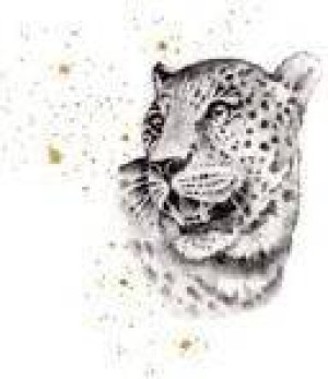 Karnet. Złocony kwadrat. Gepard