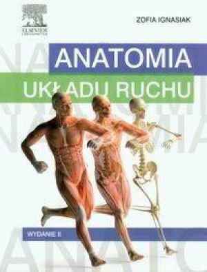 Anatomia układu ruchu